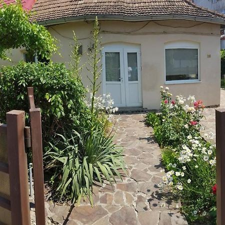 Casa Didina Fosta Pensiune Casa Didina Bacău Extérieur photo