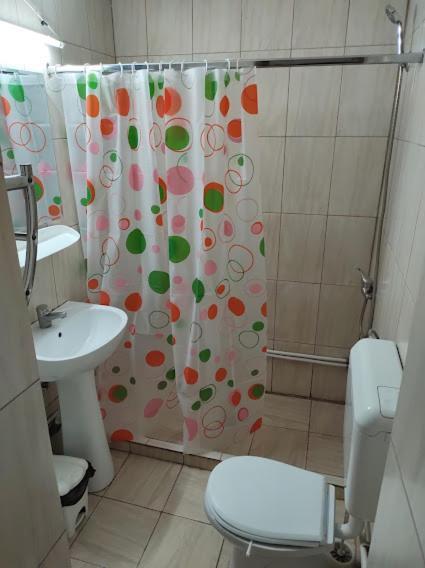 Casa Didina Fosta Pensiune Casa Didina Bacău Extérieur photo