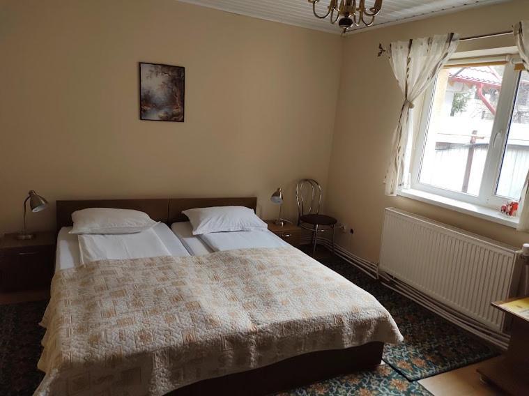 Casa Didina Fosta Pensiune Casa Didina Bacău Extérieur photo